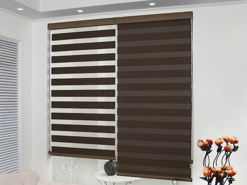 zebra-blinds